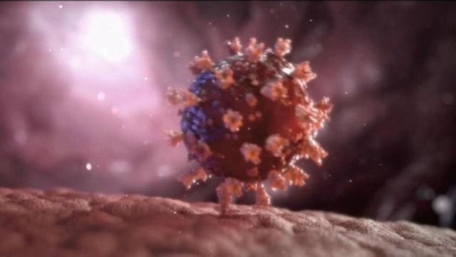 Covid-19 mata 40 pessoas em 24h em MT e taxa de ocupa��o de UTIs � de 94%